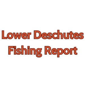 Lower Deschutes Update August 2nd, 2024