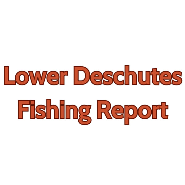 Lower Deschutes Update June 16, 2023