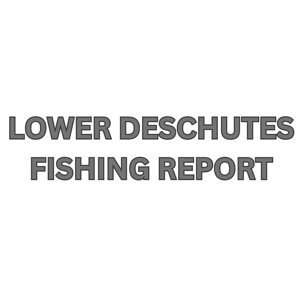 Lower Deschutes Update October 20, 2023