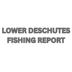 Lower Deschutes Update November 3, 2023