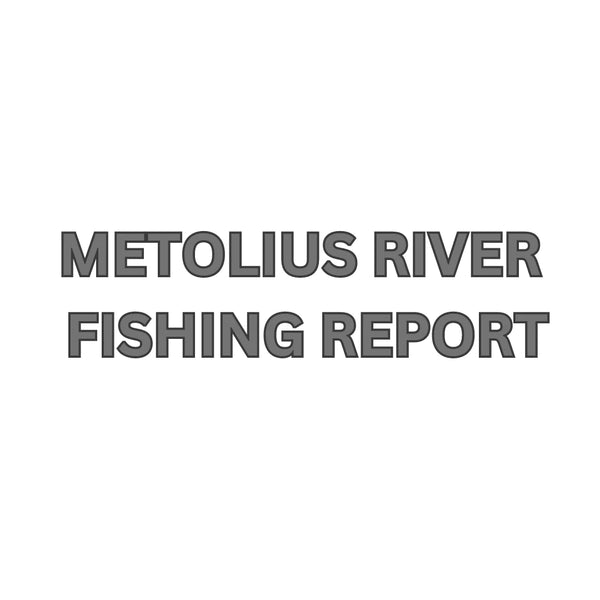 Metolius River Update October 20, 2023