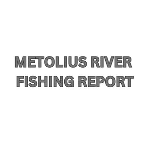 Metolius River Update March 8, 2024