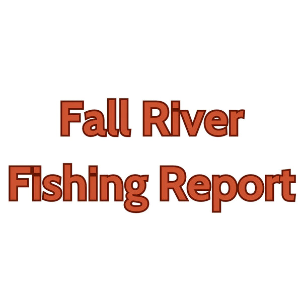 Fall River Update August 4, 2023