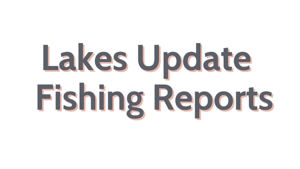 Lakes Update June 24, 2022