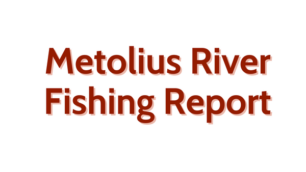 Metolius River Update July 1st, 2022