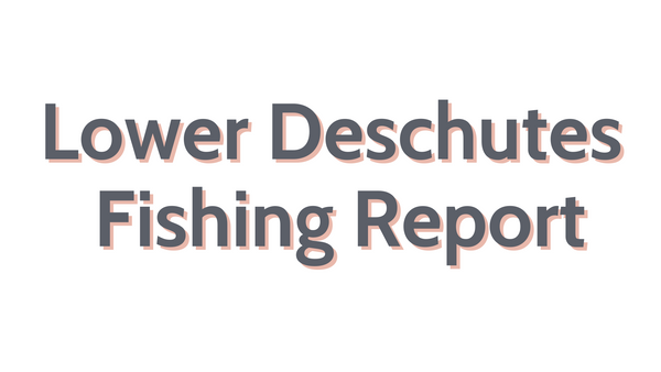 Lower Deschutes Update July 8, 2022