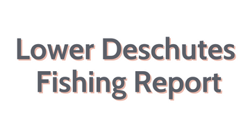 Lower Deschutes Update July 8, 2022