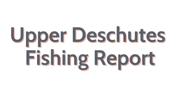 Upper Deschutes Update July 8, 2022