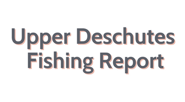 Upper Deschutes Update July 8, 2022