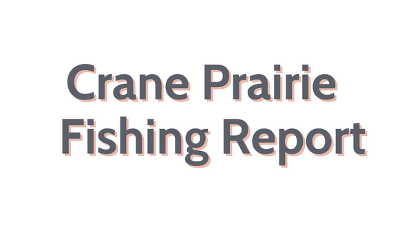 Crane Prairie Update July 8, 2022