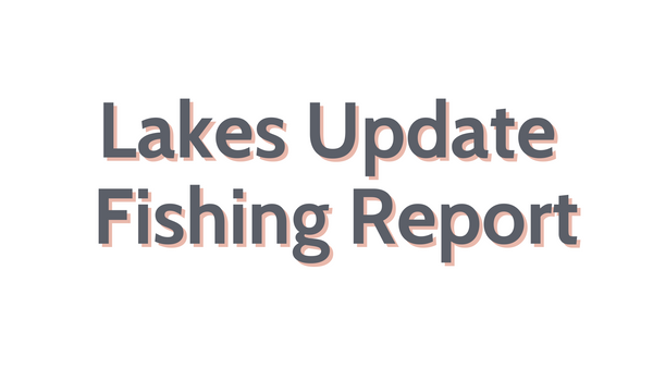 Lakes Update July 8, 2022