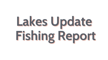 Lakes Update July 8, 2022