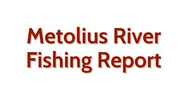 Metolius River Update July 1st, 2022