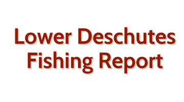 Lower Deschutes Update July 1st, 2022