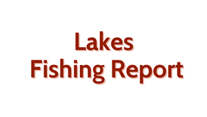 Lakes Update July 1st, 2022