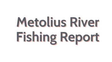 Metolius River Update July 8, 2022