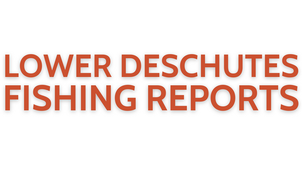 Lower Deschutes Update June 17, 2022