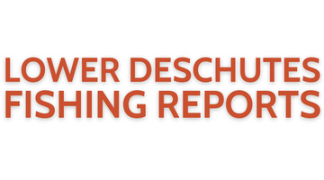 Lower Deschutes Update June 17, 2022