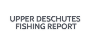 Upper Deschutes Update October 14, 2022
