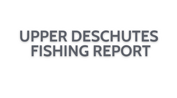 Upper Deschutes Update October 14, 2022