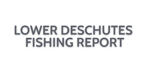 Lower Deschutes Update October 14, 2022