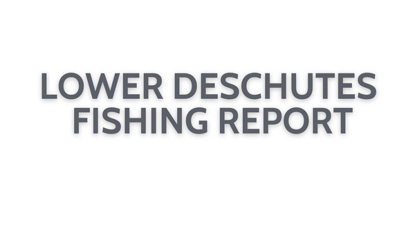 Lower Deschutes Update October 14, 2022