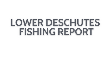 Lower Deschutes Update October 14, 2022