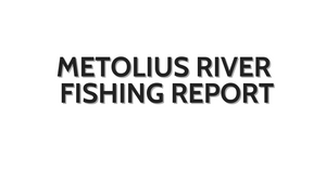 Metolius River Update October 28, 2022