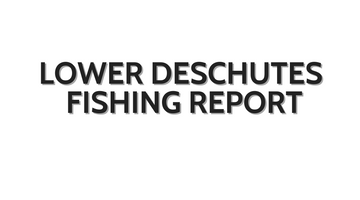 Lower Deschutes Update October 28, 2022