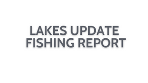 Lakes Update October 14, 2022