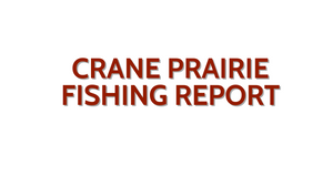 Crane Prairie Update November 4, 2022