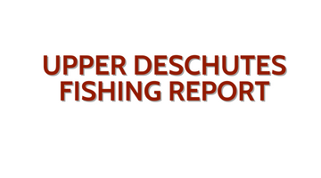 Upper Deschutes Update November 4, 2022