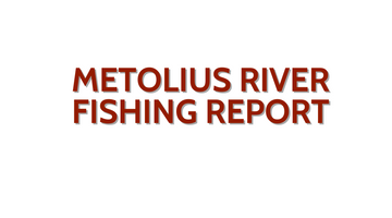 Metolius River Update November 4, 2022