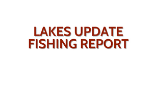 Lakes Update November 4 , 2022