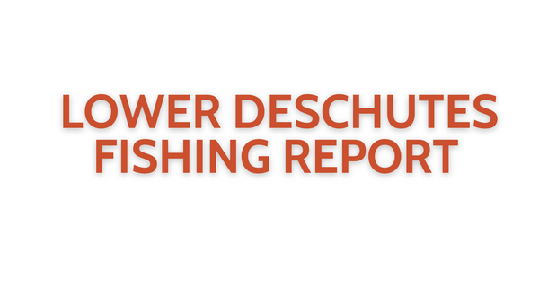 Lower Deschutes Update October 7, 2022