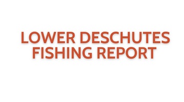 Lower Deschutes Update October 7, 2022