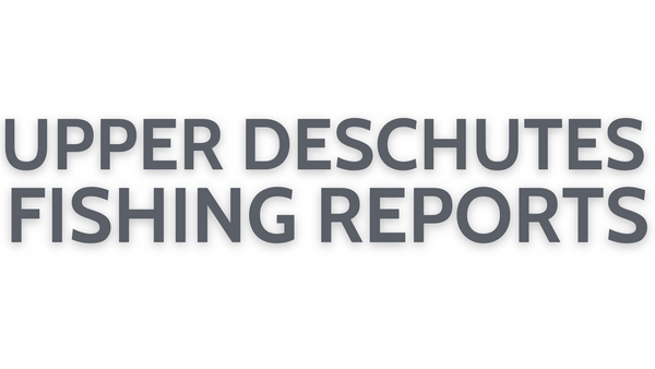 Upper Deschutes Update July 29, 2022