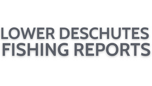 Lower Deschutes Update July 29, 2022