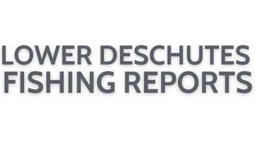 Lower Deschutes Update July 29, 2022