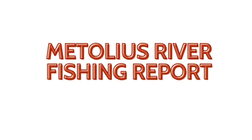 Metolius River Update October 21, 2022