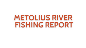 Metolius River Update October 7, 2022