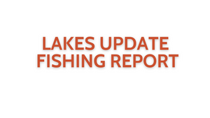 Lakes Update October 7, 2022
