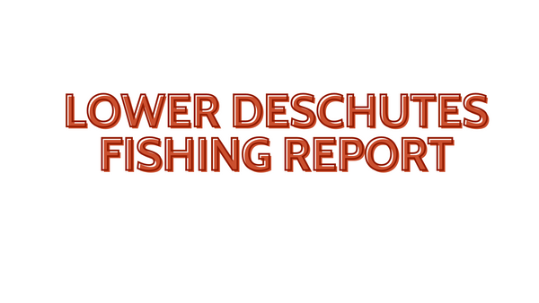 Lower Deschutes Update October 21, 2022