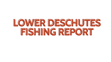 Lower Deschutes Update October 21, 2022