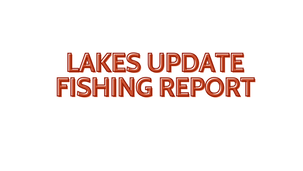 Lakes Update Fishing Report October 21, 2022