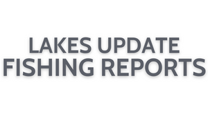 Lakes Update July 29, 2022