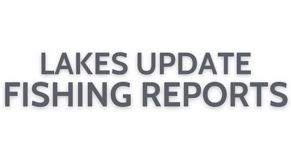 Lakes Update July 29, 2022