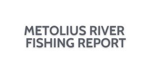Metolius River Update October 14, 2022