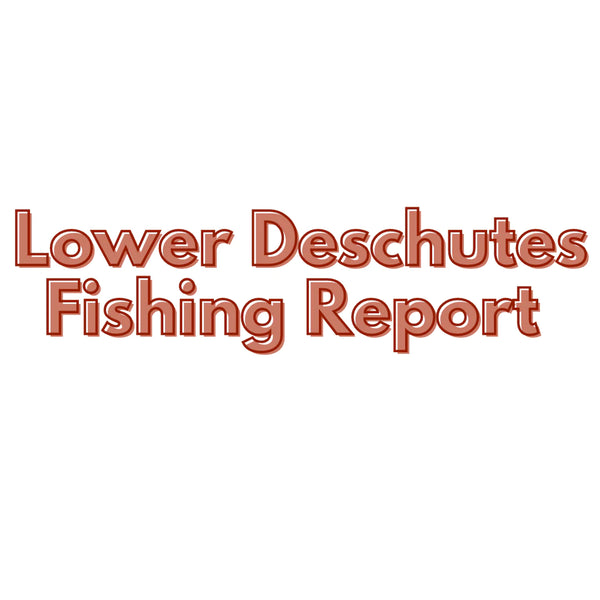 Lower Deschutes Update April 7, 2023