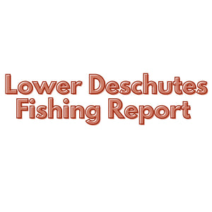 Lower Deschutes Update November 10, 2023